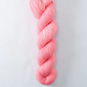 Andean Flamingo - Yummy 2-Ply