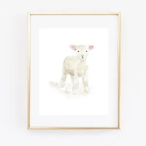 lamb art print