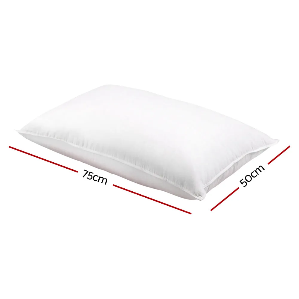 Set of 2 Duck Down Pillows - White