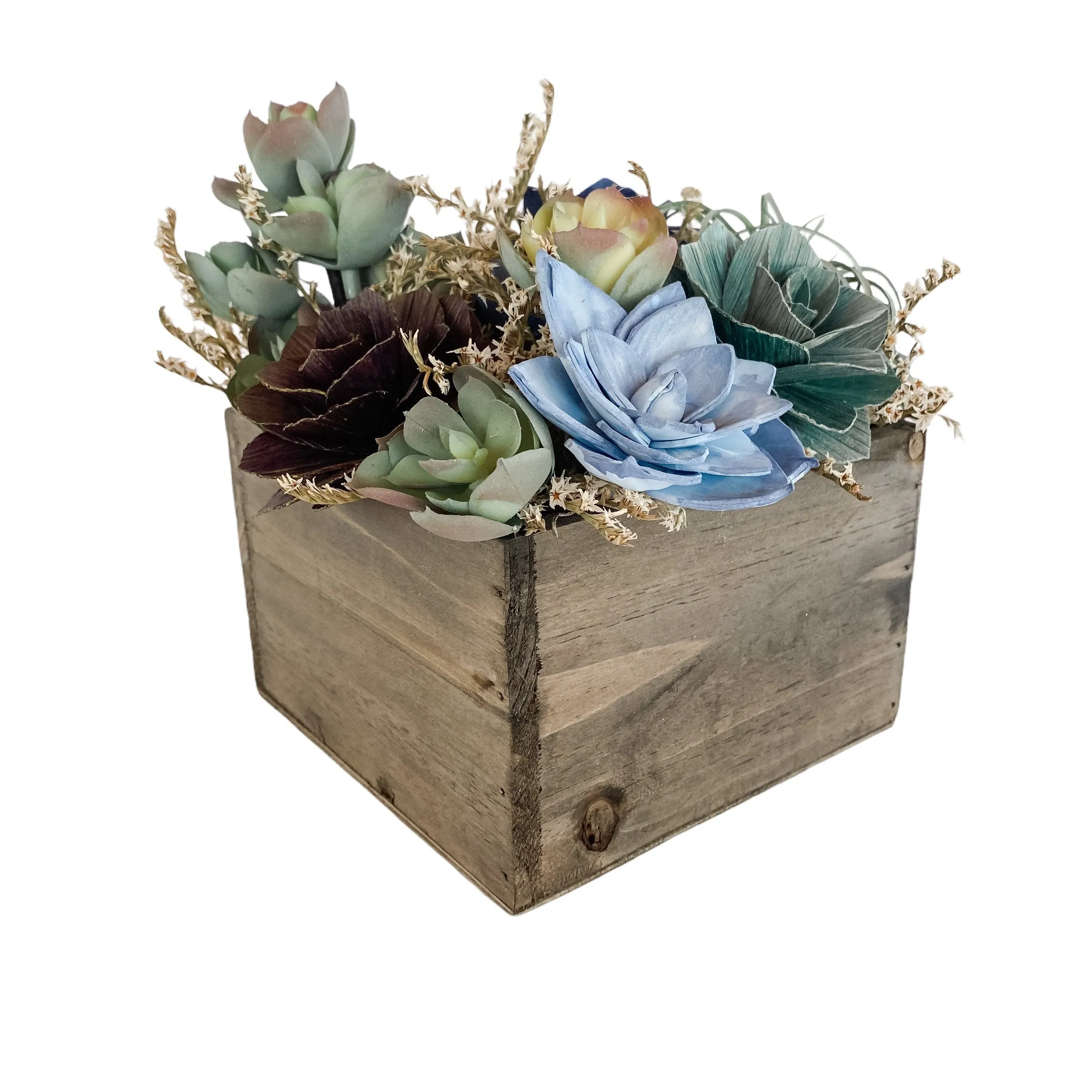 Wooden Sola Succulent Box Arrangement