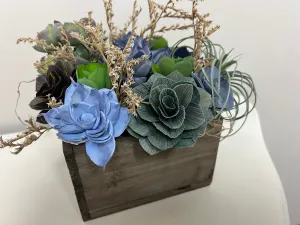 Wooden Sola Succulent Box Arrangement